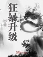 至尊狂暴升級