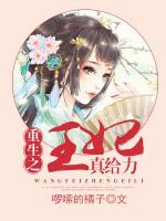 重生之王妃真給力