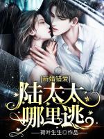 新婚錯(cuò)愛：陸太太哪里逃