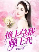 撞上總裁賴上我