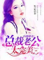 閃婚甜妻：總裁老公太完美