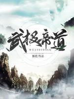 武極帝道