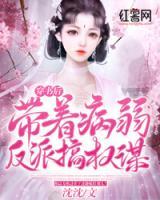 穿書(shū)后帶著病弱反派搞權(quán)謀