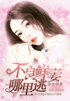 不良鮮妻哪里逃
