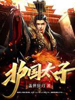 護(hù)國(guó)太子
