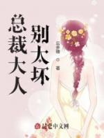 總裁大人別太壞！