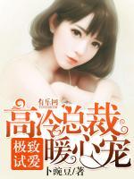 極致試愛：高冷總裁暖心寵