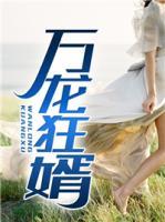 萬龍狂婿