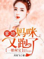 一胎雙寶：爹地，媽咪又跑了