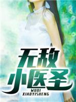 無敵小醫(yī)圣