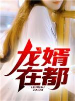 龍婿在都