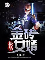 極品金磚女婿