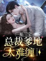 一胎三寶：總裁爹地太難纏