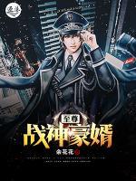 至尊戰(zhàn)神豪婿
