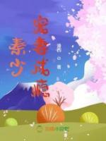 秦少寵妻成癮