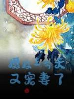 攝政王今天又寵妻了