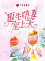 重生萌妻寵上天