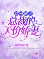 隱婚蜜愛：總裁的天價(jià)嬌妻