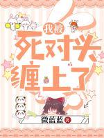 我被死對(duì)頭纏上了