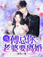 甜蜜三寶：傅總，你老婆要離婚！