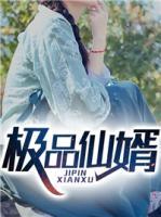 極品仙婿
