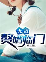 無敵贅婿臨門