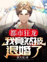 都市狂龍：我竟然被退婚了？