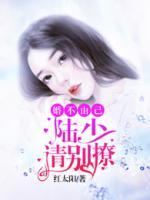 婚不由己，陸少請別撩