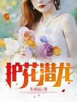 護(hù)花潛龍