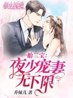 一胎二寶：夜少寵妻無下限