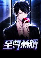 至尊翁婿