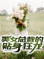 美女總裁的貼身狂龍