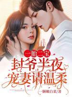 一胎二寶：封爺半夜寵妻請(qǐng)溫柔