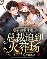 孕妻帶球逃，總裁追到火葬場