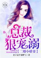 總裁的二婚小嬌妻