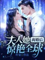 離婚后夫人她驚艷全球
