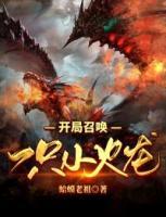 開(kāi)局召喚一只小火龍
