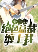 分手后，絕色總裁纏上我