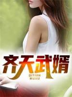 齊天武婿