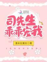 司先生乖乖寵我