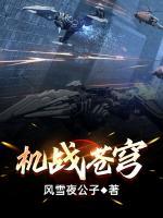 機戰(zhàn)蒼穹