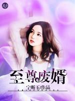 至尊廢婿