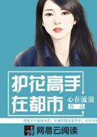 護花高手在都市