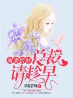 甜妻恰好，總裁請趁早