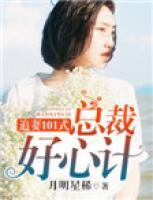 追妻101式，總裁好心計