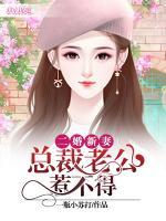 二婚新妻：總裁老公惹不得