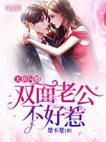 天價(jià)閃婚：雙面老公不好惹