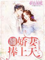 先婚后愛：嬌妻捧上天