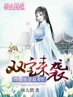 雙寶來襲，冷傲王爺追妻忙