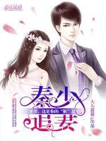 秦少追妻：老婆，這是你的“狼”崽子
